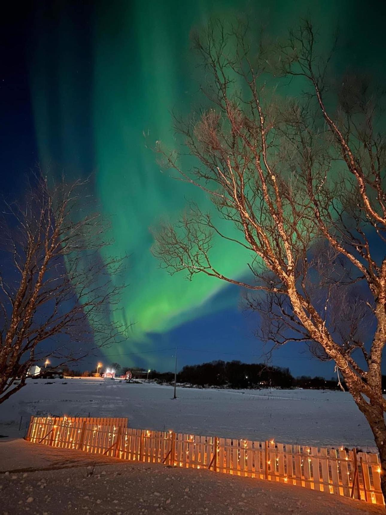 Midnattsolveien 3158,Sommarhusstrand Laukvik Lofoten Norway Екстер'єр фото