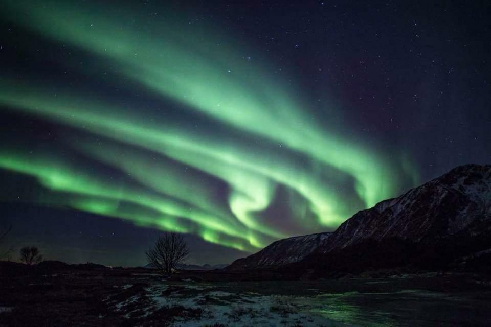 Midnattsolveien 3158,Sommarhusstrand Laukvik Lofoten Norway Екстер'єр фото