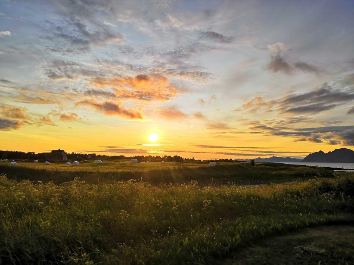 Midnattsolveien 3158,Sommarhusstrand Laukvik Lofoten Norway Екстер'єр фото